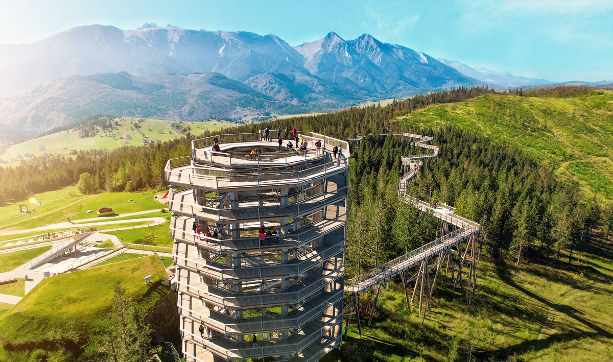 084441 2024 01 18 01