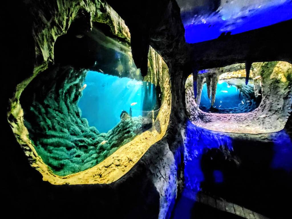 085249 2024 01 18 01